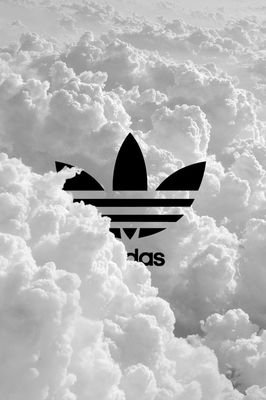 -- Follow