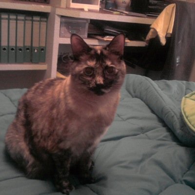 mariajo41182633's profile picture. 