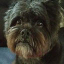 Pam McCurdy - @PamMccurdy951 - Twitter