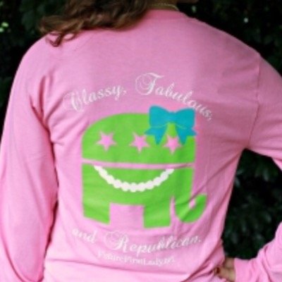 Bringing class and sass and everything preppy to the Republican party with my Southern charm