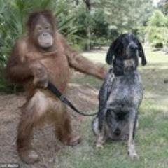 Internet fanatic? I update fun news everyday! Please visit my website. Thanks!