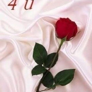القصيم / الرياض