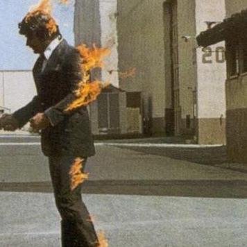 flv31's profile picture. 