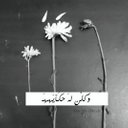 مجنونة حيدر (@00046Aab) Twitter