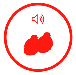 edutweets's profile picture. 