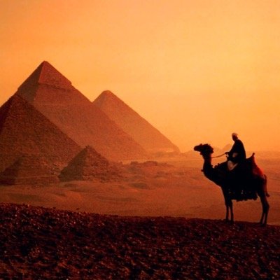egyptianfess's profile picture. DM if you have any suggestion tweets