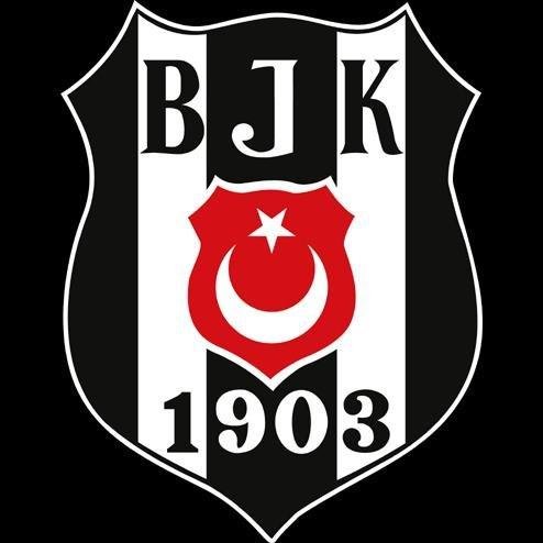 beşiktaş aşığı. tribün çocuğu. anti hümanist