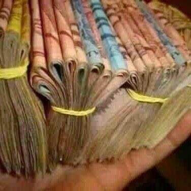 MariofranklinC's profile picture. 