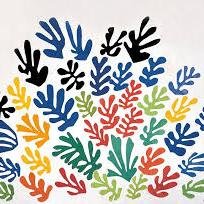 yzh608's profile picture. 