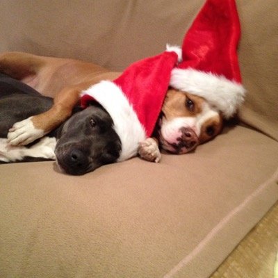 Shablinga7's profile picture. I am just trying to sell steel ... is that wrong ?