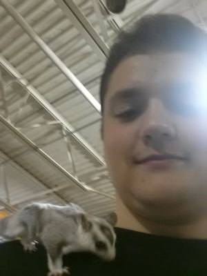 Gamer | Writer | Animal Lover | Chandler Bing Made Real | Promoter of the Entertainment Industry