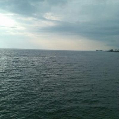 ae93dea0fc20493's profile picture. cubsfan23