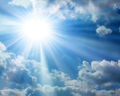 maurodivepsi's profile picture. 