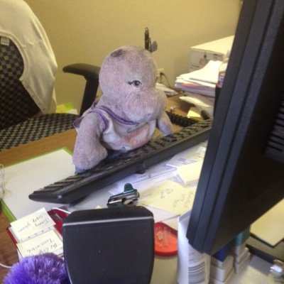 NenPa08's profile picture. 