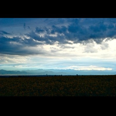 Go outside! Admire nature! Enjoy life!