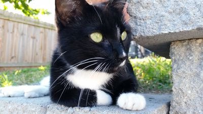 fusbala14's profile picture. 