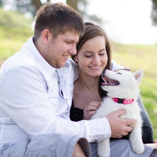 bmc008's profile picture. 