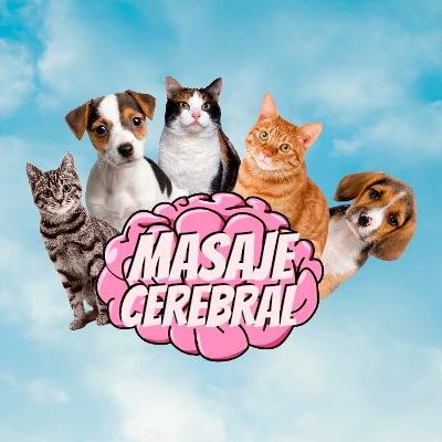 Masaje_Cerebral Profile Picture