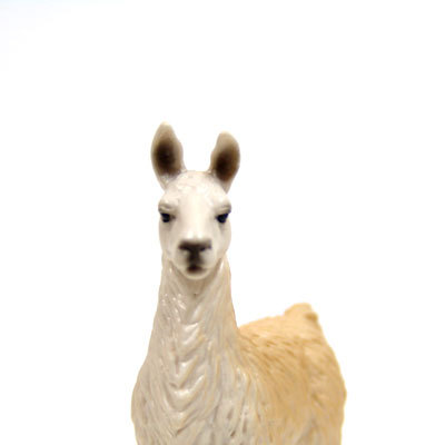 GeBAsan's profile picture. 