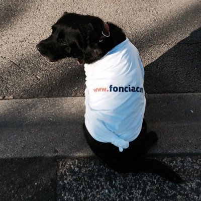 veroniq57007159's profile picture. 