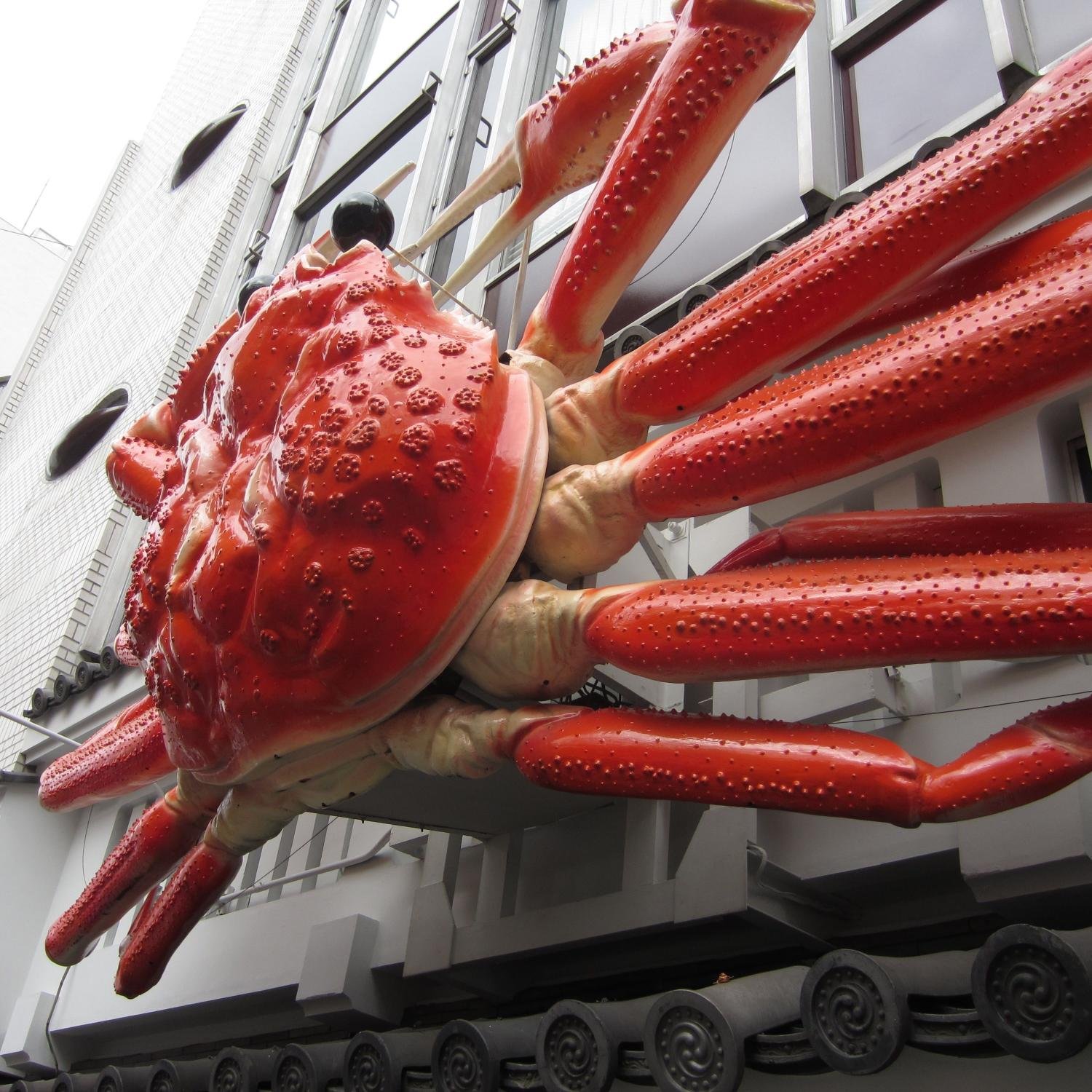 gogettergav's profile picture. http://t.co/8bbZGMnT7j
http://t.co/IkdN1KoKw9
http://t.co/3mHnLB39Js
http://t.co/eB2vKV95rQ