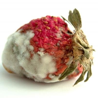 Try not to let these foods assault your tastebuds