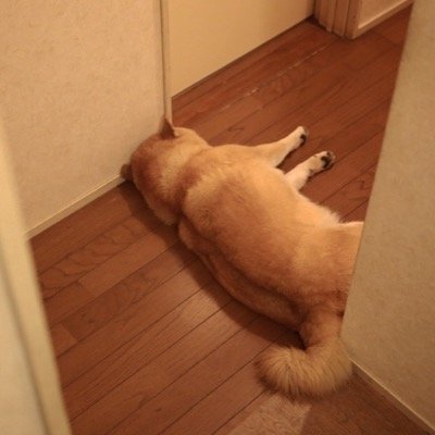 TeenDad_'s profile picture. ( ͡° ͜ʖ ( ͡° ͜ʖ ( ͡° ͜ʖ ( ͡° ͜ʖ ͡°) ͜ʖ ͡°)ʖ ͡°)ʖ ͡°)