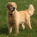 faboo1961@gmail.com - @FrankSampson9 - Twitter