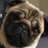 LouiePine's profile image