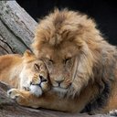 Clemente González - @Mentosig19 - Twitter