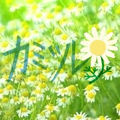 カミツレ Kamitsure Crcl Twitter