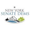 NYSenateDems's profile picture. Electing Dems to the State Senate & fighting for a fairer New York.