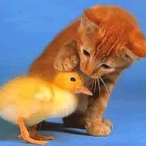 arael_l's profile picture. my friends describe me as kind,caring,fun and spicy.