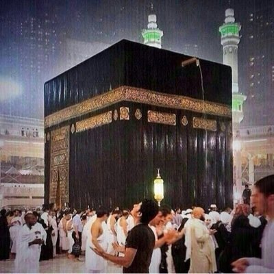 Xx11223344Xx's profile picture. 