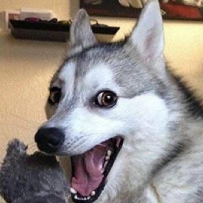 Leomarciano12's profile picture. -off