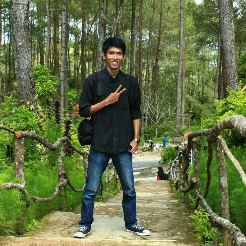186cm