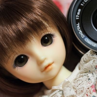 お人形、写真、鉄道と模型、アニメ、コミケ、ニコ実、真空管、ニキシー管、カブ主（JA44）。幼天使真霧たん、TinyFox。ヘッダーの子たちは18歳。PEN-Fと単焦点。最近はわたてんとおにまいと大室家。派手なものよりシンプルでよくできているもの、細く長く続いているものが好き。