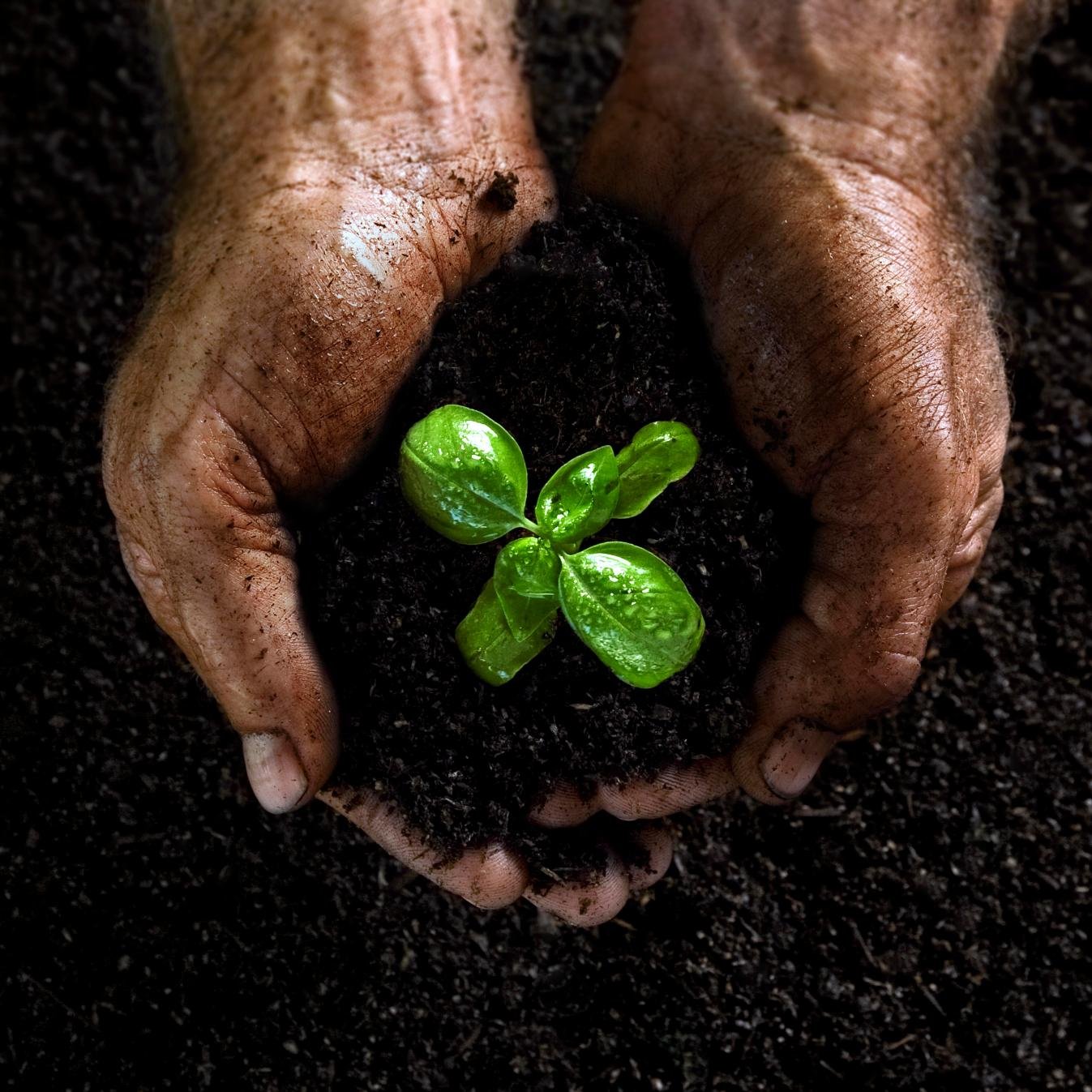 NewADEnergy are a pioneering company based in the UK whose prime directive is to provide cost effective Anaerobic Digestion solutions worldwide.
