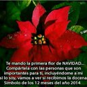 Mari Chacon - @d44971dde4d84a6 - Twitter