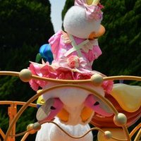 みー (@m_daisy__) 's Twitter Profile