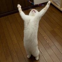 ジークリオン (@sieglion) 's Twitter Profile