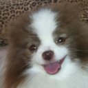 Tammy Senter - @RylieTammy - Twitter