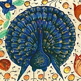 A heady mix of Jewish manuscript art, palaeography, peacocks and Digital Humanities. Plus loads of dragons and #MicrographyMonday and #CarminaFigurataFriday