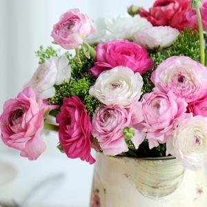 zem_maria's profile picture. μαθητρια