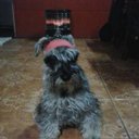 Jennifer Borquez - @83e5cbfa9fc14c2 - Twitter