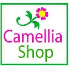 Camelliashop grows and sells ornamental flowering camellias and Camellia sinensis Tea Plants