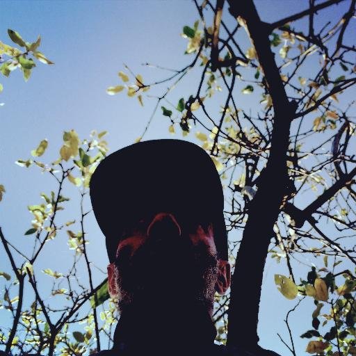 bensalavati's profile picture. I cycle, make films and I don't run red lights.