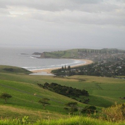 thamir009's profile picture. 