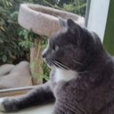 Terri Matteson - @TerriMatteson - Twitter