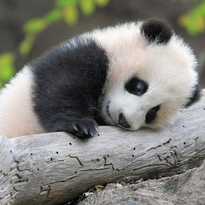 manthafifi's profile picture. 